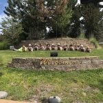 Life After AmeriCorps