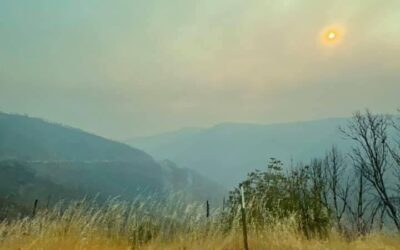 August Fire Update 2021