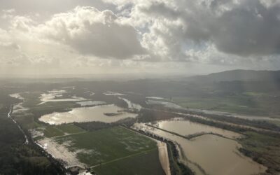 Even More Rain