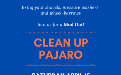 Clean Up Pajaro