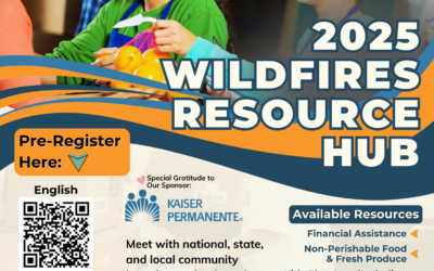 LA Fires Resource Hub